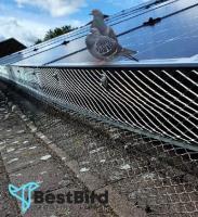 Best Bird Proofing Sydney image 4